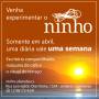 ninho:ninho_semanal_05.jpg