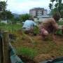 img-20151214-wa0016.jpg