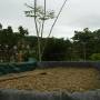 img-20151214-wa0010.jpg