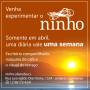 ninho_semanal_05.jpg